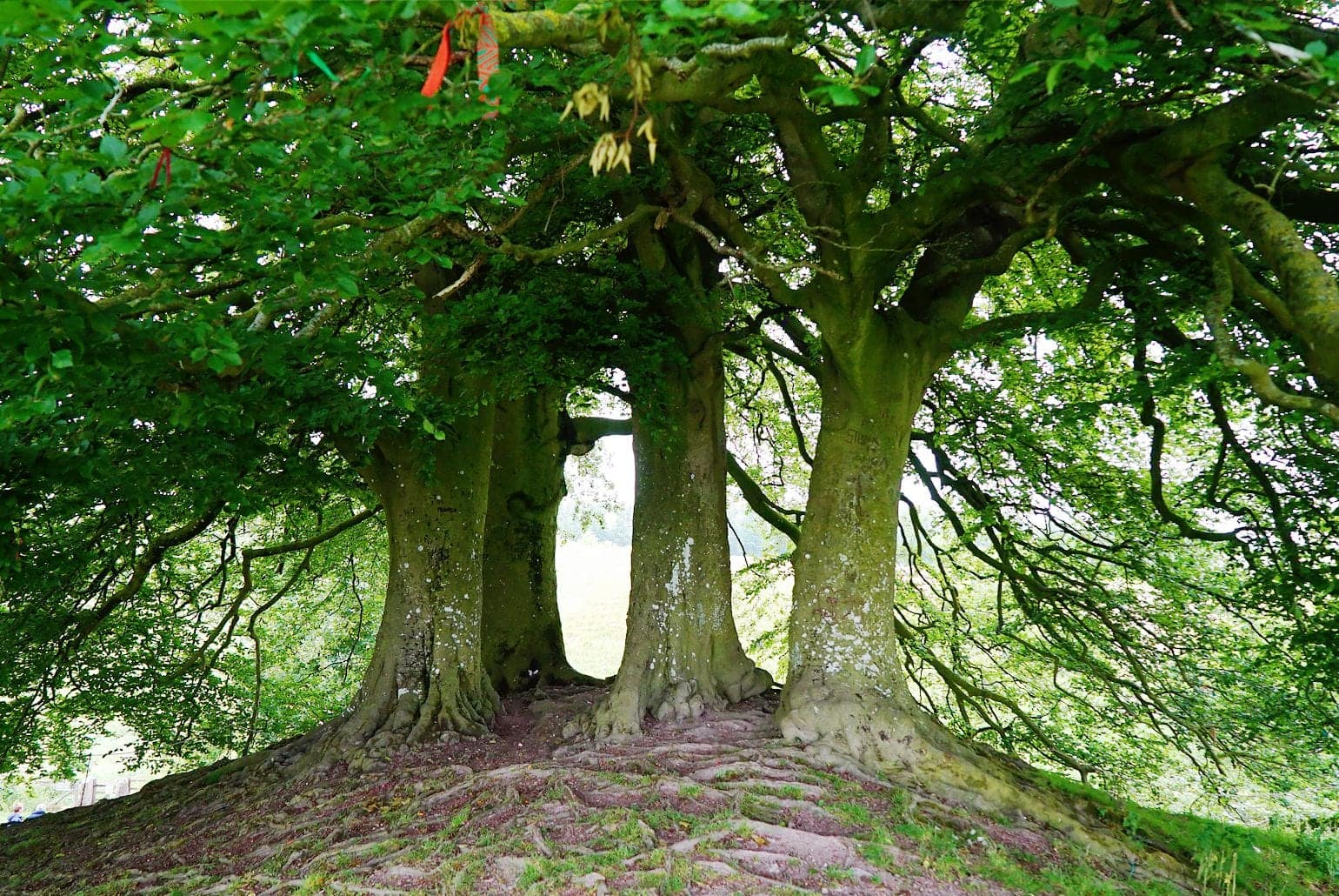 visit avebury