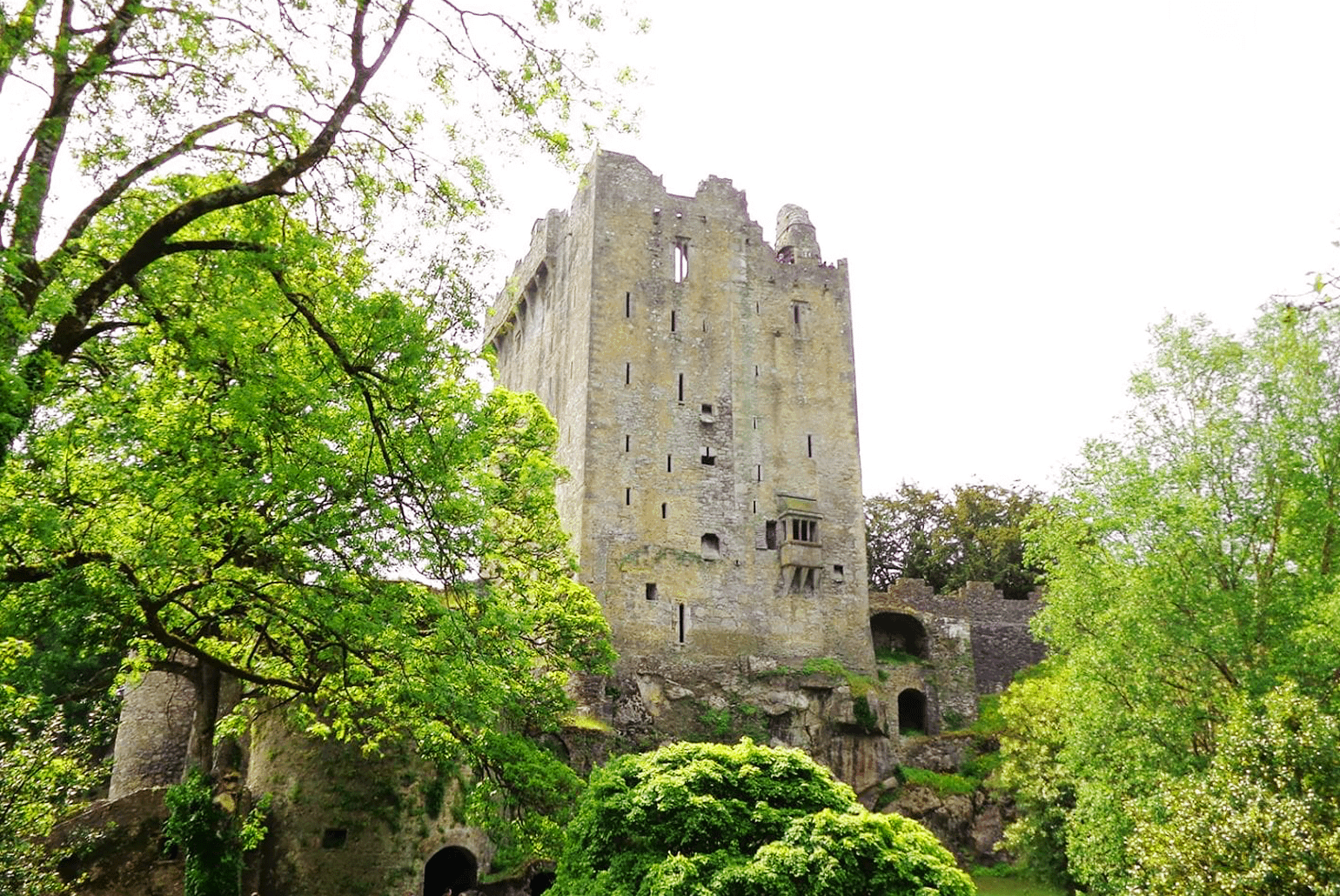 ireland's blarney castle